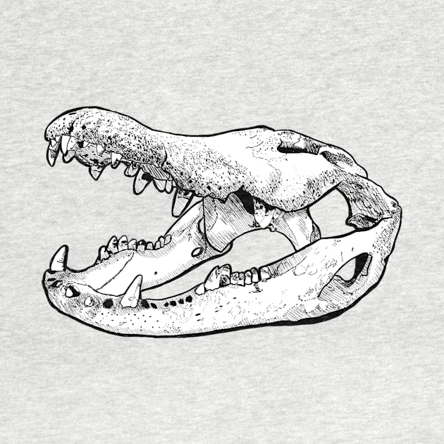 Gator Skull by Durvin